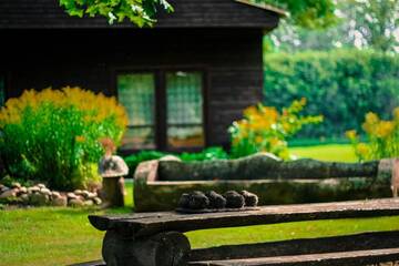 Фото номера Одноместный номер с пакетом оздоровительных процедур Отель Natural Wellness Center BioSpa г. Muri 4